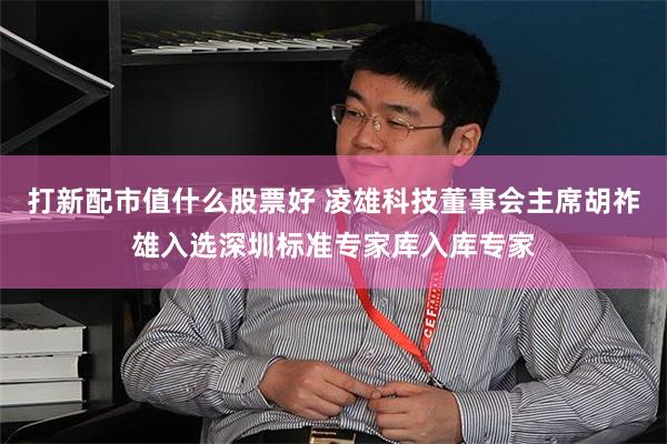 打新配市值什么股票好 凌雄科技董事会主席胡祚雄入选深圳标准专家库入库专家