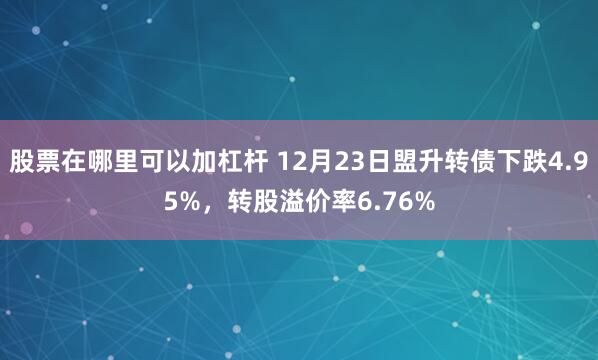 股票在哪里可以加杠杆 12月23日盟升转债下跌4.95%，转股溢价率6.76%