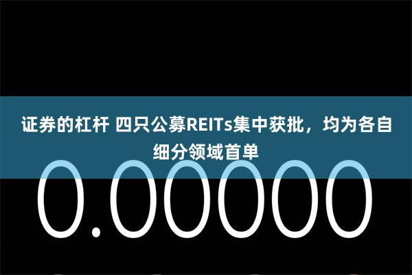 证券的杠杆 四只公募REITs集中获批，均为各自细分领域首单