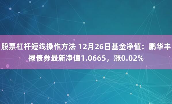 股票杠杆短线操作方法 12月26日基金净值：鹏华丰禄债券最新净值1.0665，涨0.02%