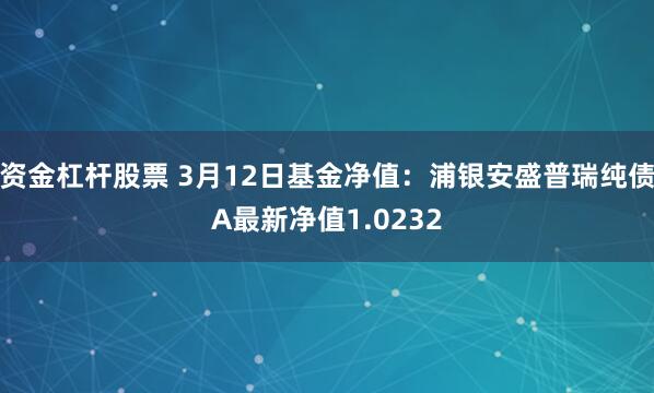 资金杠杆股票 3月12日基金净值：浦银安盛普瑞纯债A最新净值1.0232